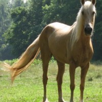 dirty+but+beautiful+lacie