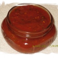 final%2Bsalsa