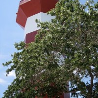 HHI+Lighthouse