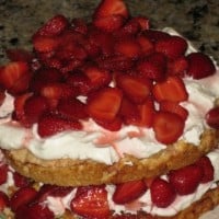strawberry+shortcake+5-09