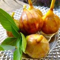 am+figs4