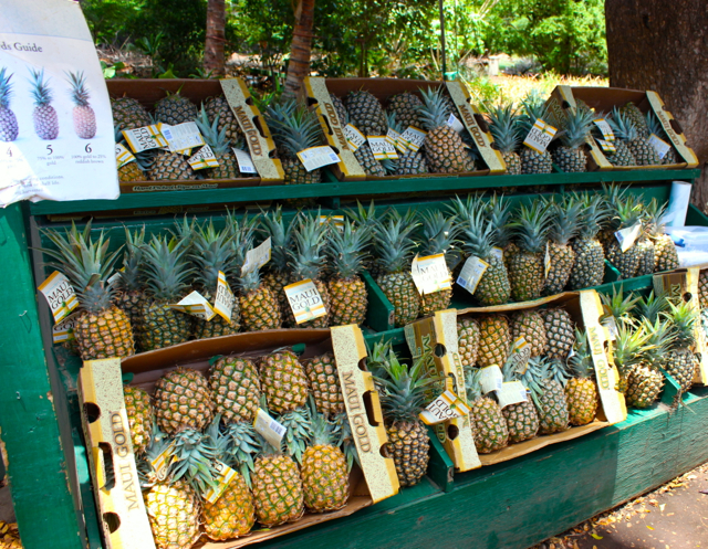 Hawaiian pineapple, Hawaii pineapple