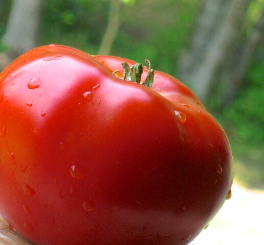 awesome tomato recipes