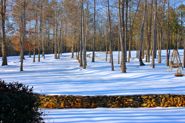 Winter Snow, Carolina's 2014
