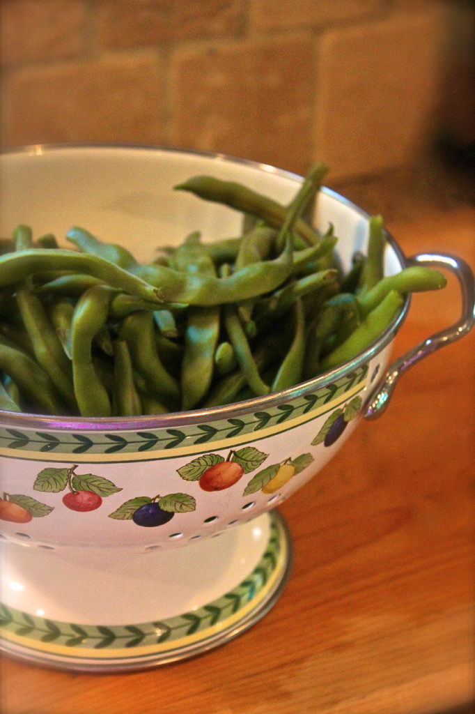 garden green beans