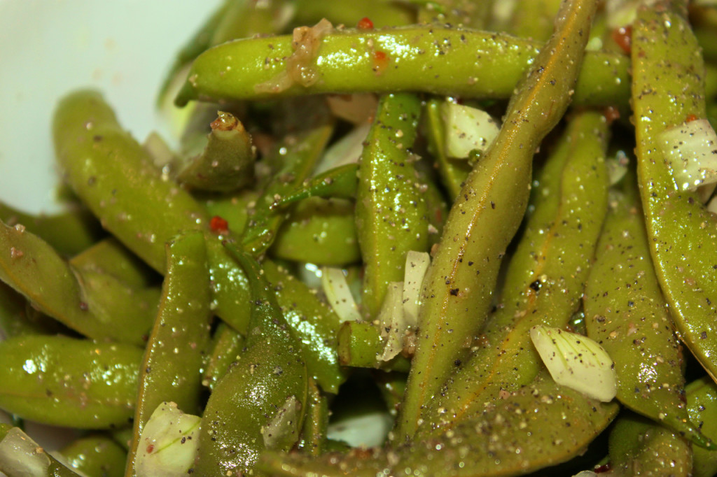 garden green beans