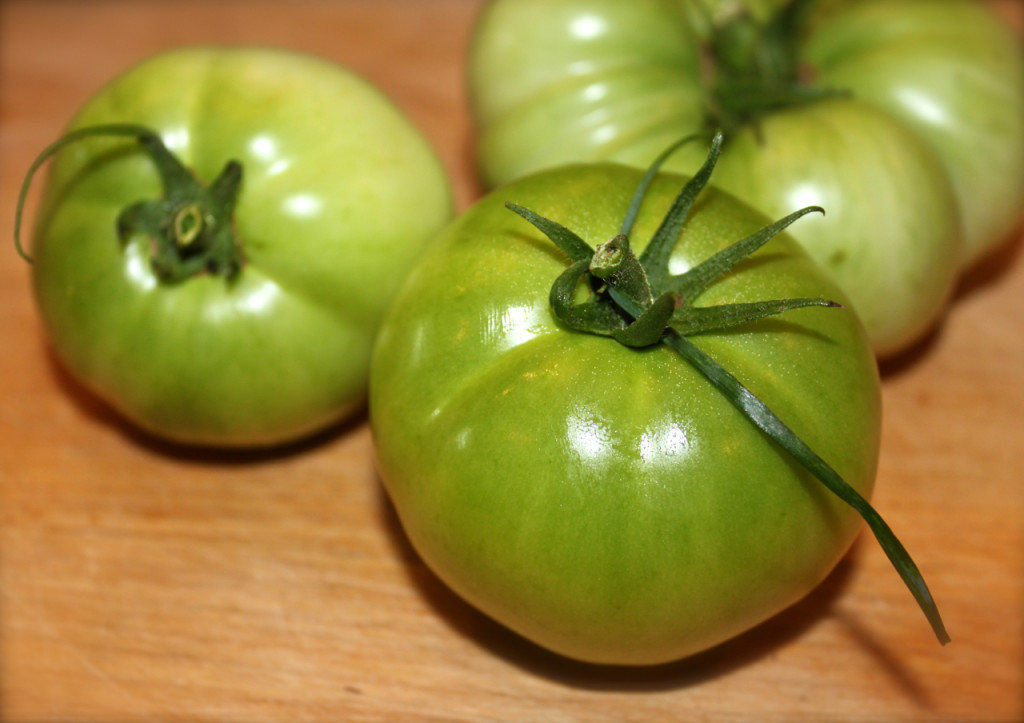 fried green tomatoes with bacon, garlic and buttermilk sauce