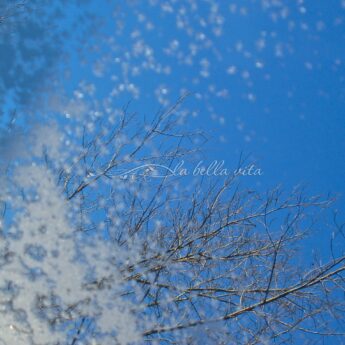 Beautiful, Dangerous Winter