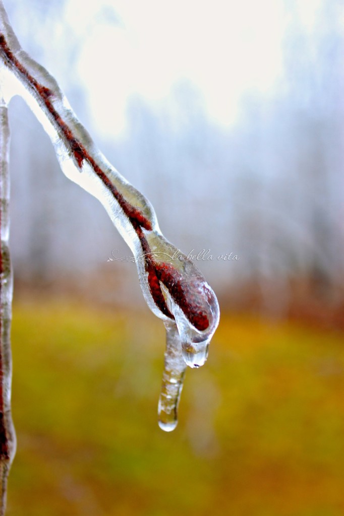 Beautiful, Dangerous Southern Winter