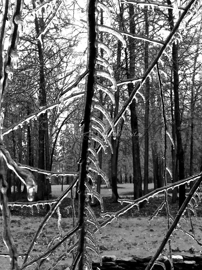 Beautiful, Dangerous Southern Winter