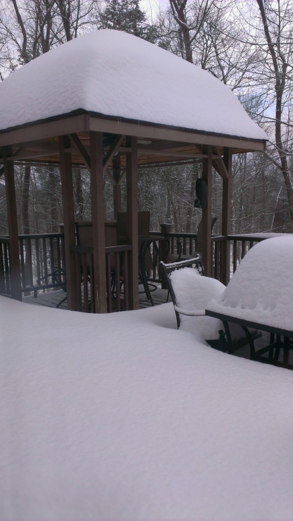 even more on the roof of Annamaria's gazebo . . . amazing!