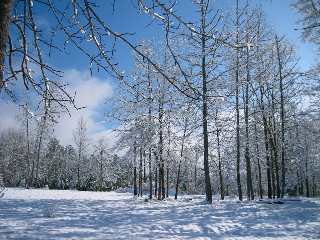 from snow to sea