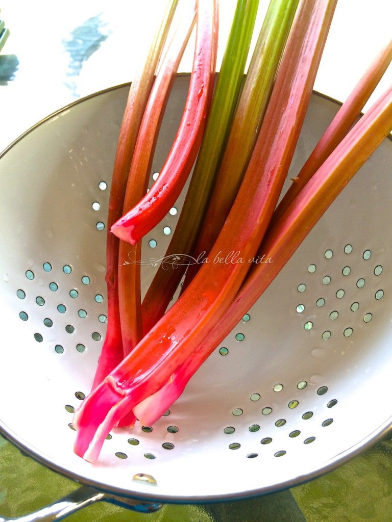 rhubarb streusel cake with mascarpone icing