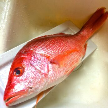 How to Remove Scales From a Fish