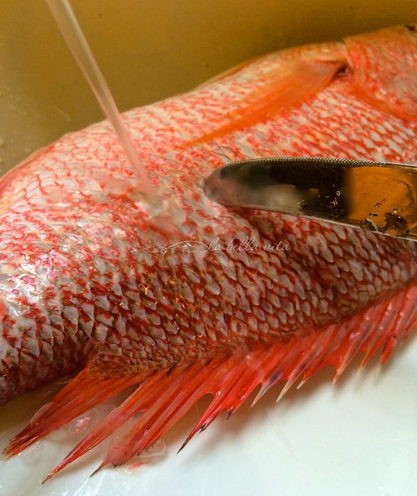 How To Remove Scales from Fish La Bella Vita Cucina