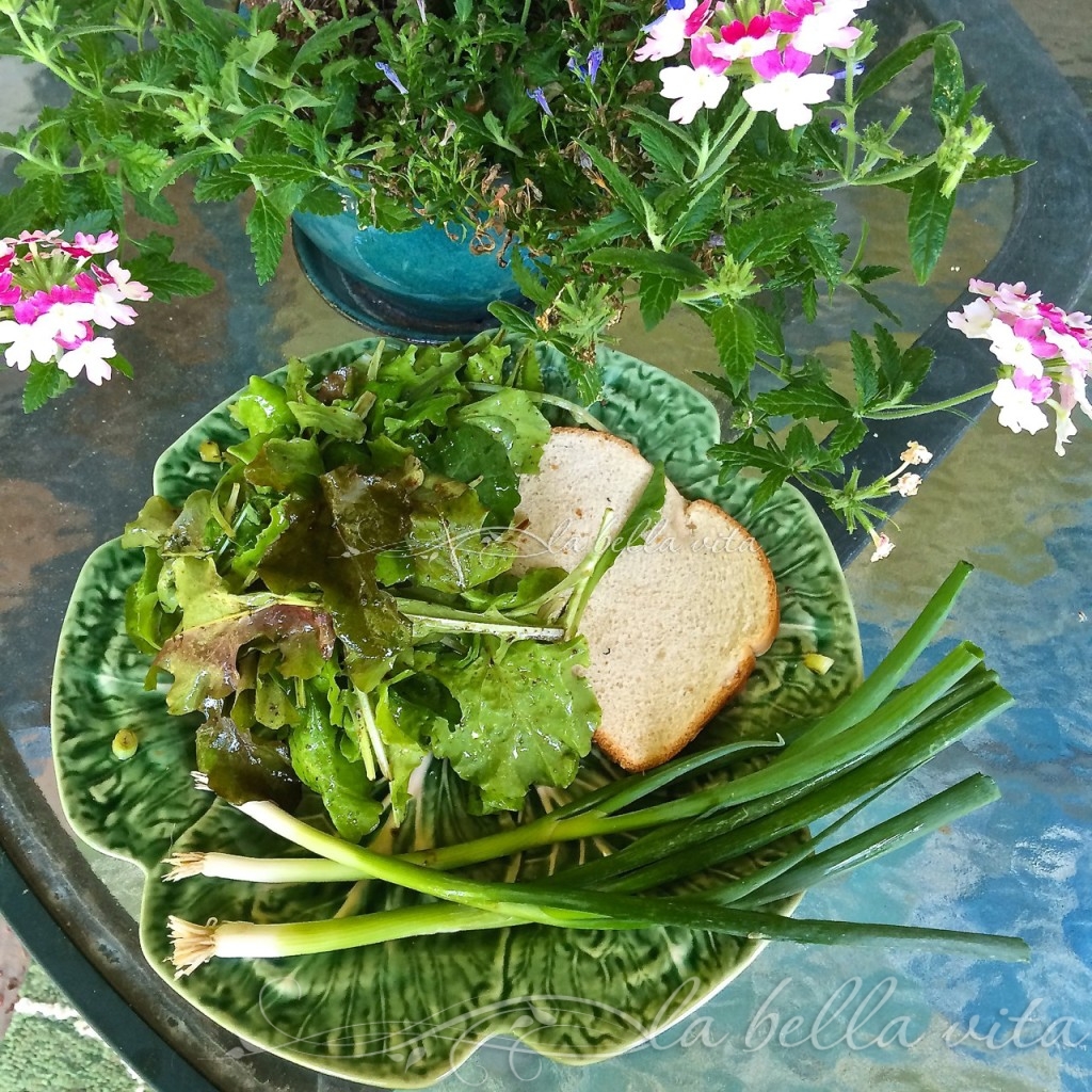 looseleaf lettuce salad