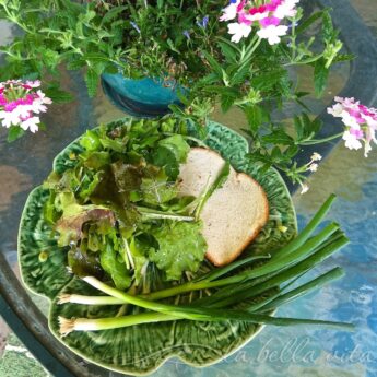 looseleaf lettuce salad