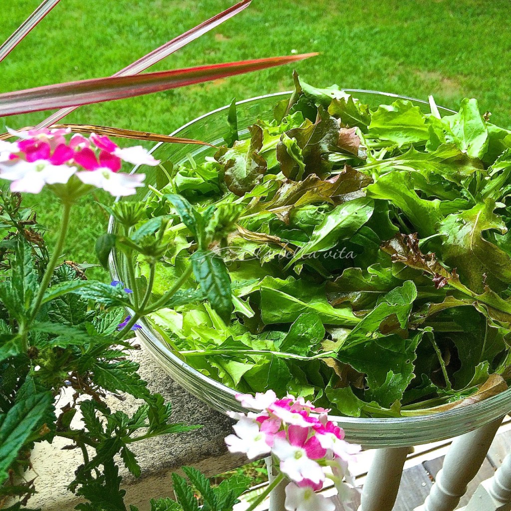 loose leaf lettuce