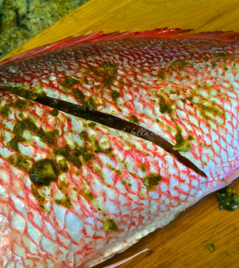 Caribbean Fried Red Snapper Potfish