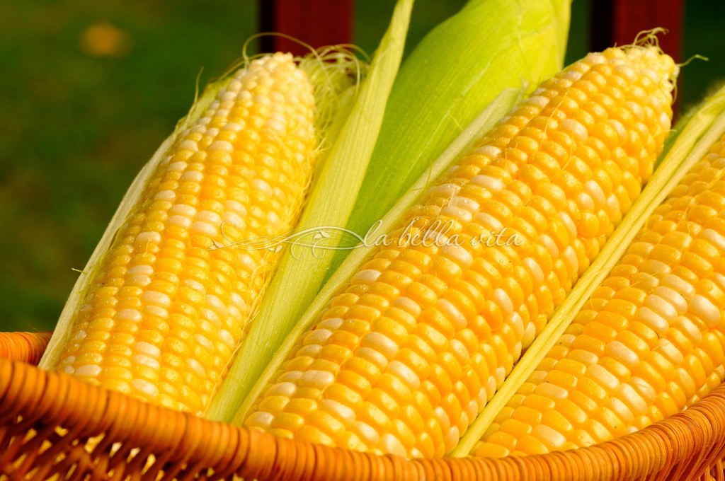 creamy fiesta corn dip