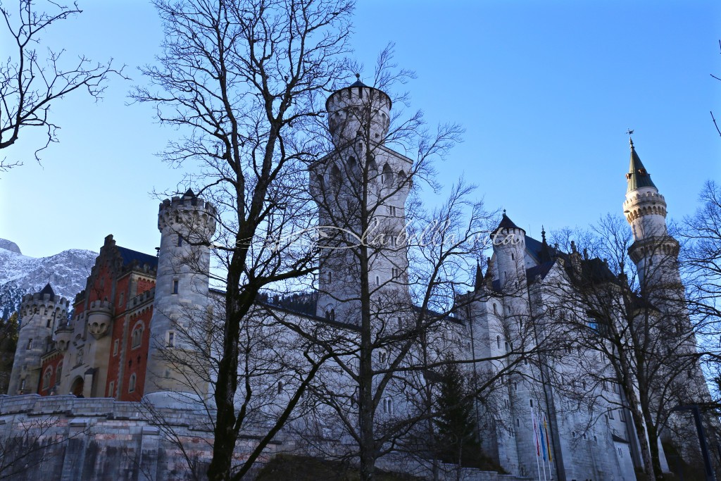 bare trees are one of the added benefits to visiting the castle in wintertime