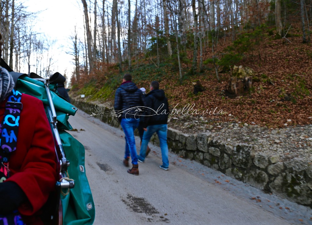 from our horse-drawn carriage, tourists also choose to hike up the steep mountainside to the castle