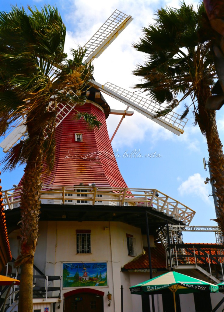 what to see do in Aruba color and architecture