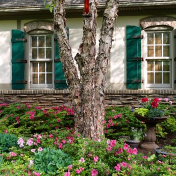 Spring Flowers in a Southern Garden