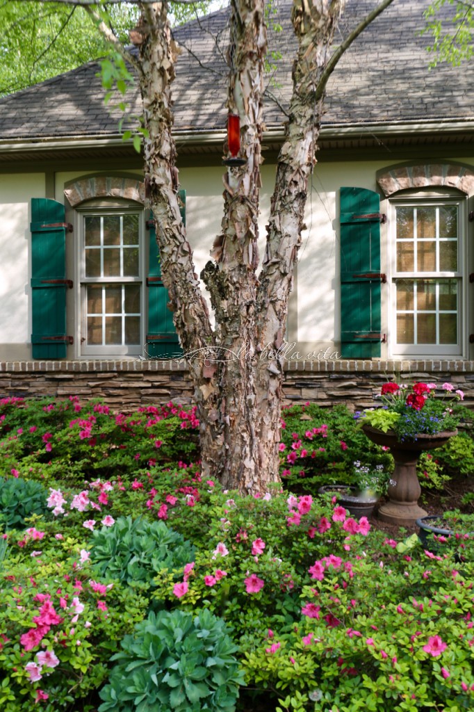 Spring Flowers in a Southern Garden