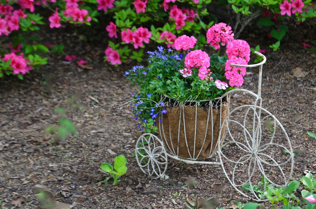 Spring Flowers in a Southern Garden