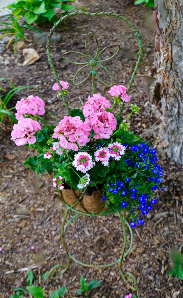 Spring Flowers in a Southern Garden