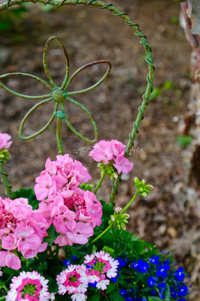 Spring Flowers in a Southern Garden