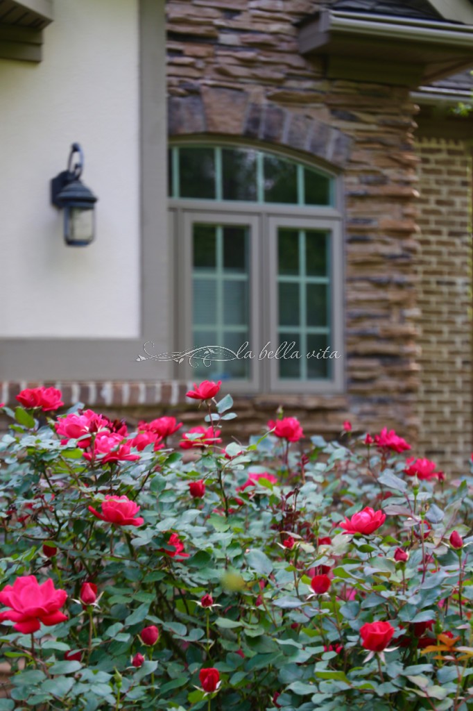 Spring Flowers in a Southern Garden