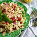 Tuna and Artichoke Pasta Salad with Sun-Dried Tomato Vinaigrette