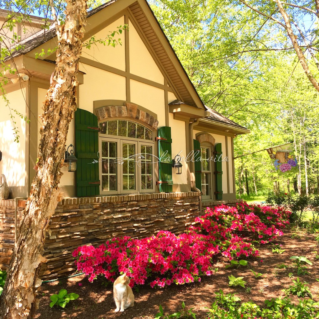 Spring Flowers in a Southern Garden