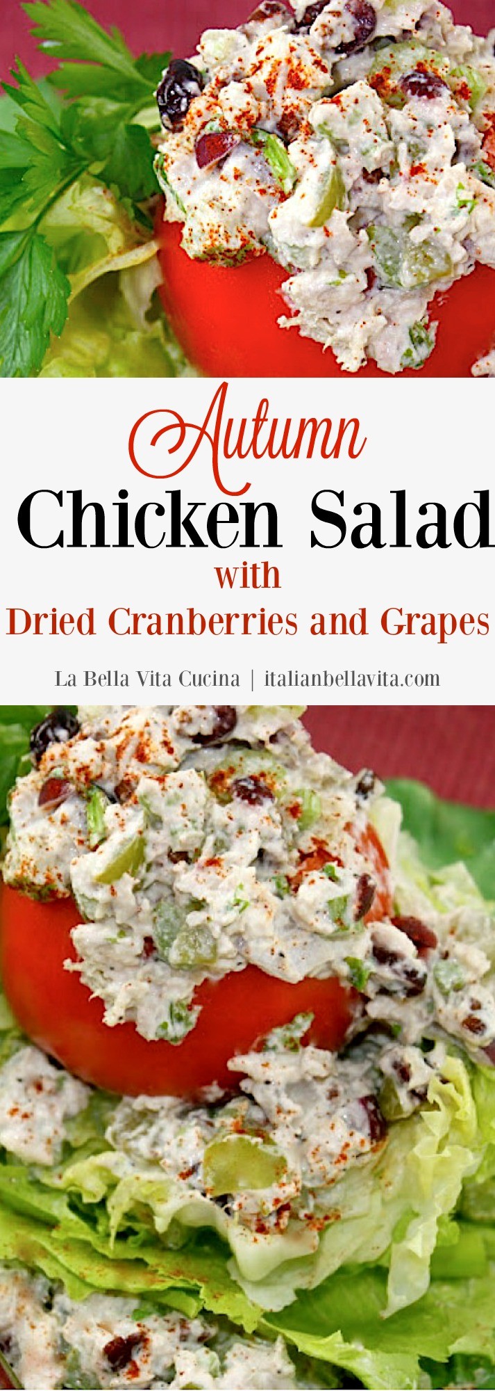 Autumn Chicken Salad with Dried Cranberries and Grapes