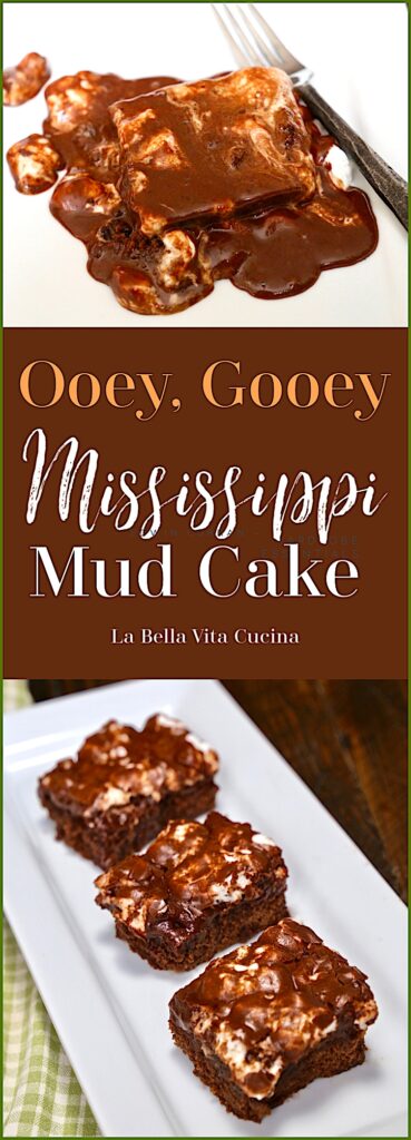 Ooey, Gooey Mississippi Mud Cake 