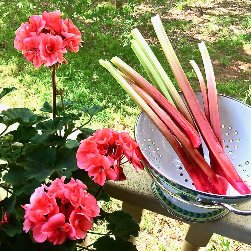 how to make strawberry rhubarb sauce