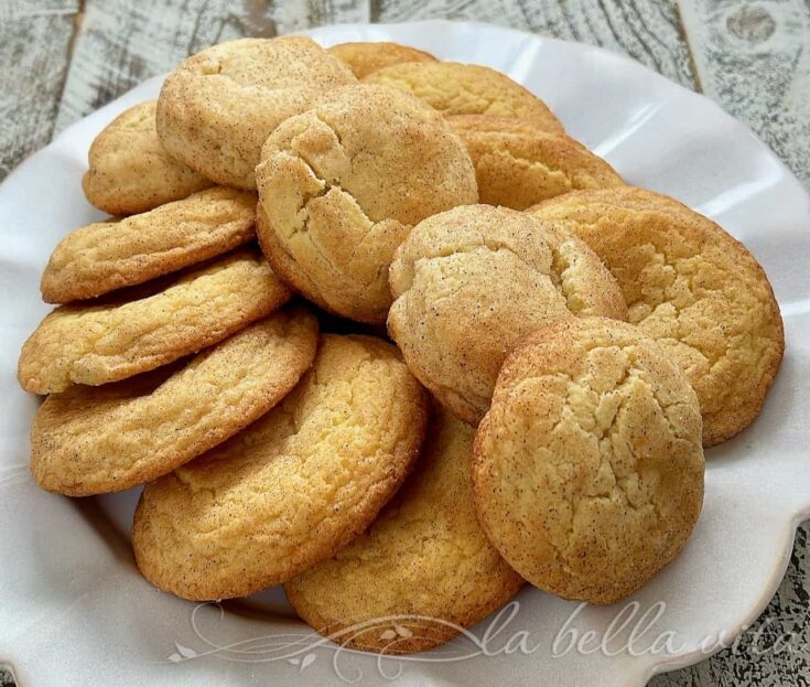 The Best Soft and Chewy Snickerdoodles