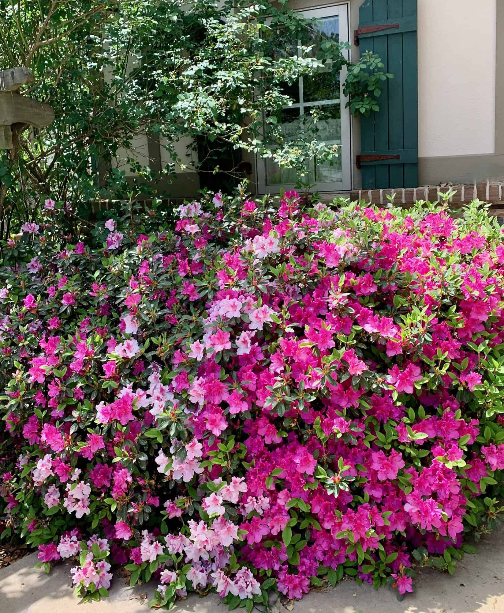 49 Delicious Italian Easter And Spring Recipes La Bella Vita Cucina