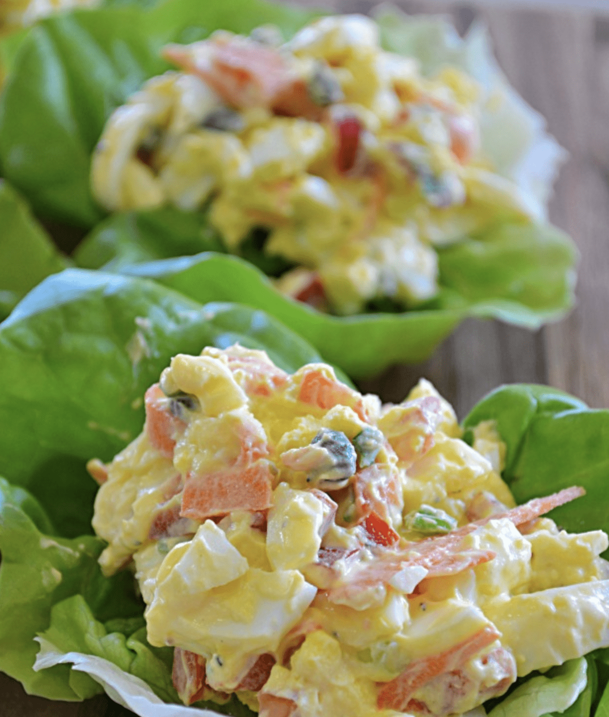 40 Egg Salad Recipes in One Huge Selection La Bella Vita Cucina