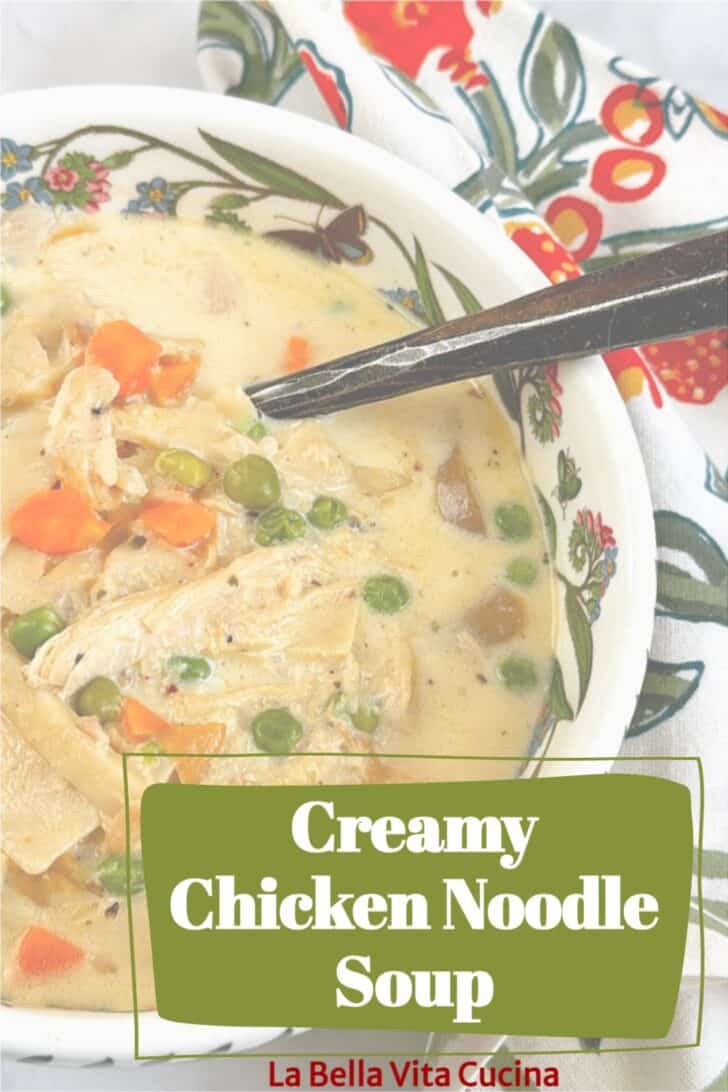 Creamy Chicken Noodle Soup