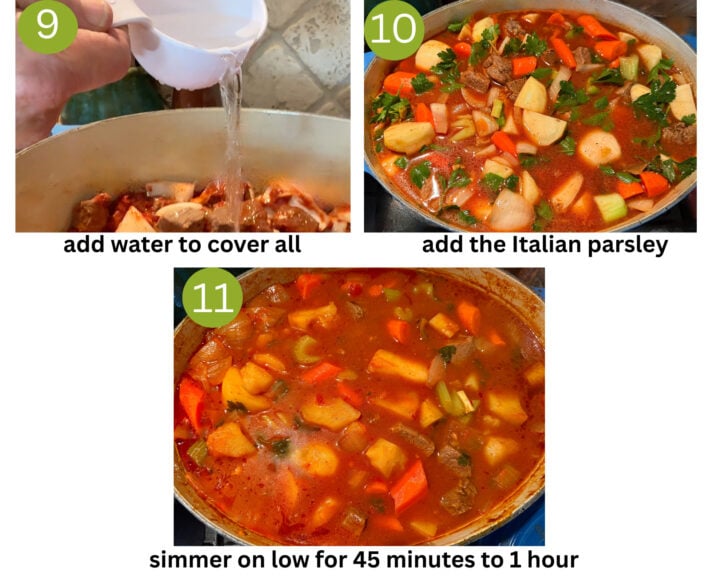 Nonna's Italian Stew