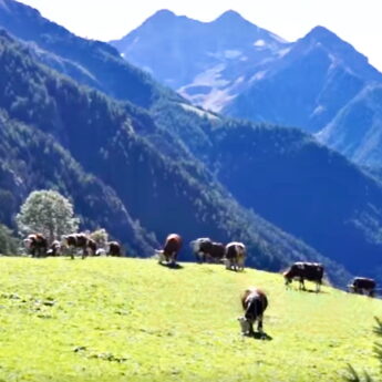 Italy Alpine Val d'Aosta Cuisine