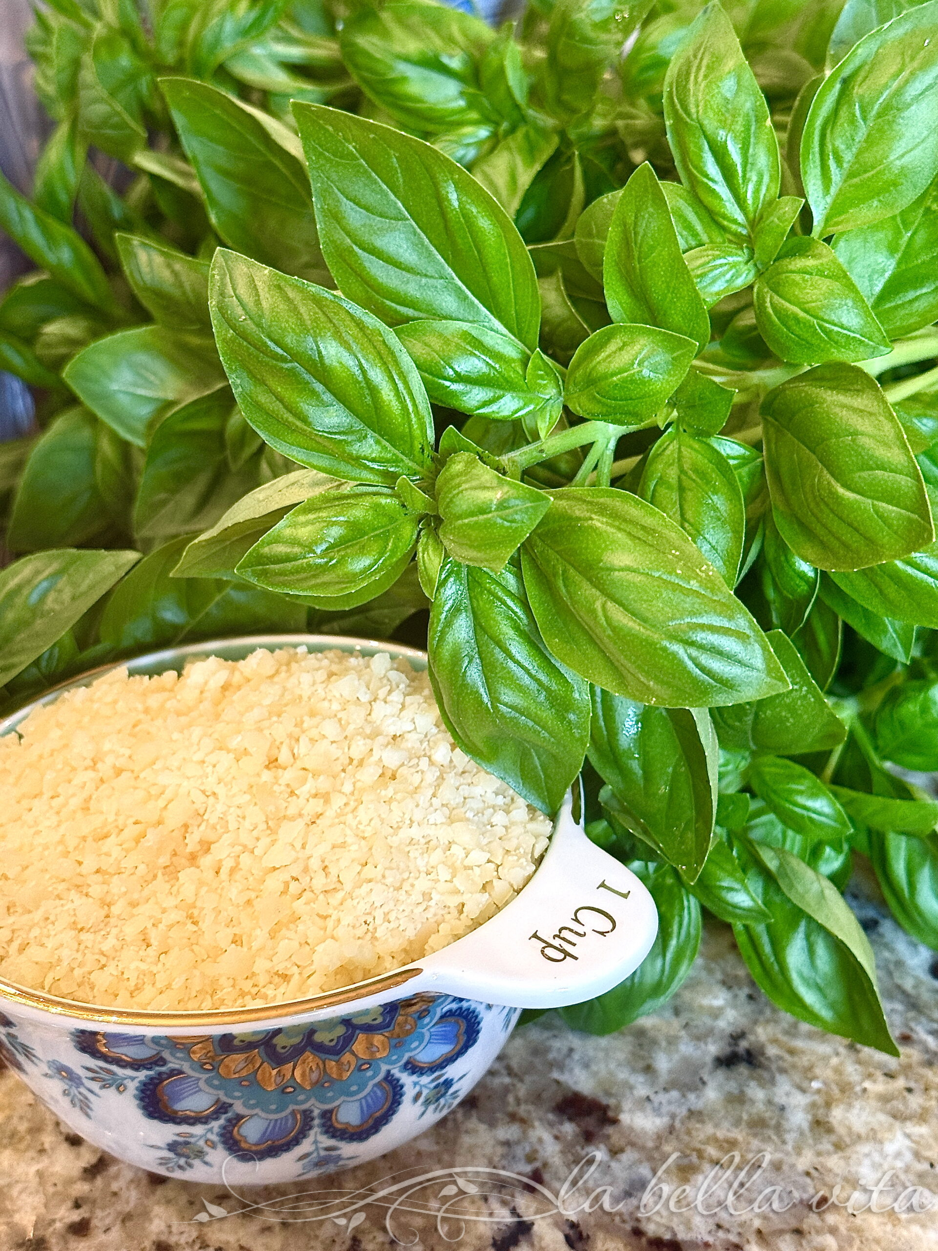 Basil Pesto